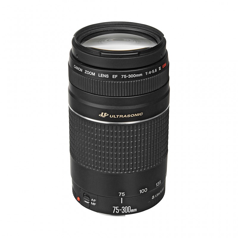 Canon EF 75-300 mm f 4.0-5.6 III USM