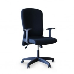 Iris High Back Chair With Armrest TK22