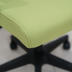 Skyla Low Back Office Chair Green Color