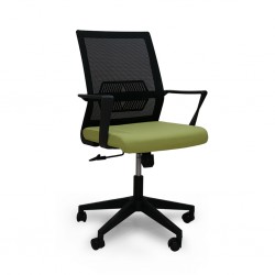 Skyla Low Back Office Chair Green Color