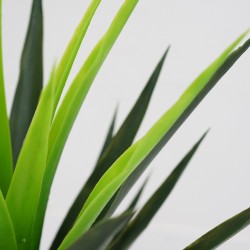 Gladiolus Tree Artificial 130cm P.Pot 7"