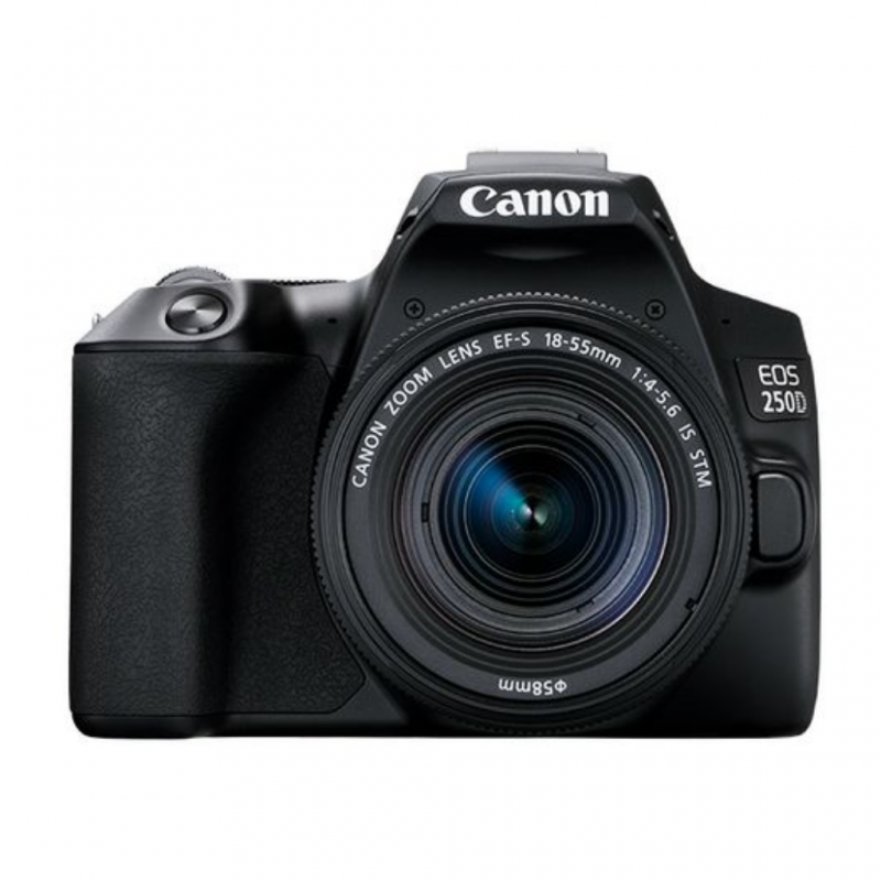 Canon EOS 250D (24 MP) Essential Double Lens Kit