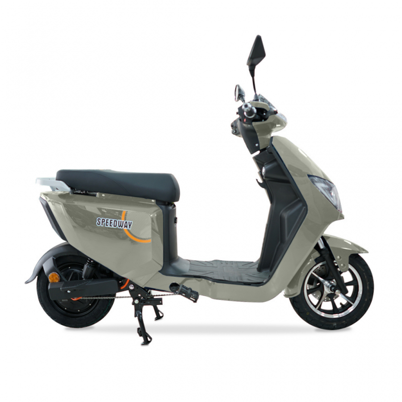 Speedway BFT306 250 Watts (0.25 kw) Silver Electric Bike