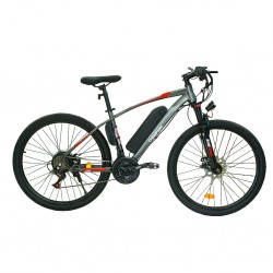 Champion YM-EBIKE2 240 Watts (0.24Kw) Electric Red Bike