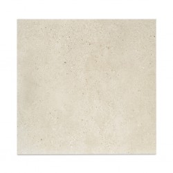 Floor Tiles Thomas Natural Matt 60 x 60 cm