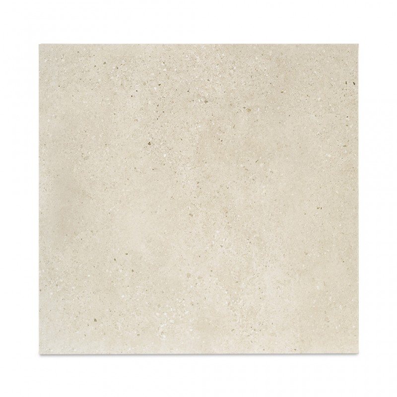 Floor Tiles Thomas Natural Matt 60 x 60 cm