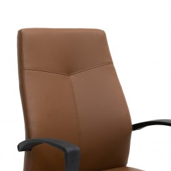 Stellar Clarkia Medium Back Office Chair Brown