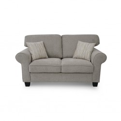 Vixon 2 Seater Beige Color Fabric