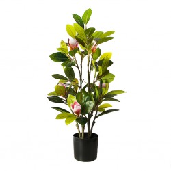 Faux Plant 70cm Magnolia in...