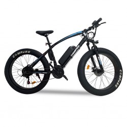 Champion YM-EB5 250 Watts (0.25 kw) Black Electric Bike