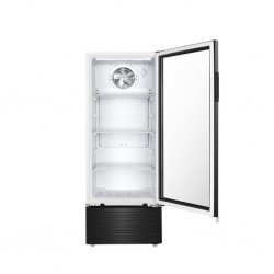 Hisense FL-26FCA Refrigerator