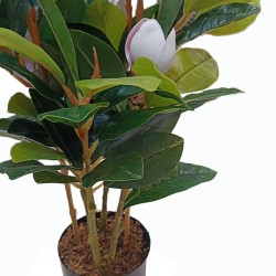 Faux Plant 70cm Magnolia in 5"pot