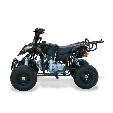 Easy One Polaris Black 110cc