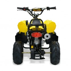 Easy One Polaris Yellow 110cc