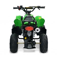 Easy One Polaris Green 110cc