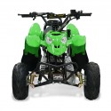 Easy One Polaris Green 110cc