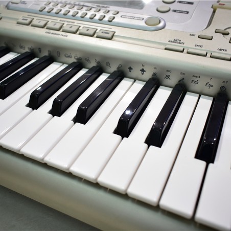 Casio WK3800 High Grade Keyboard