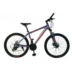 Champion YM-MB-E65 26" Alloy Bike