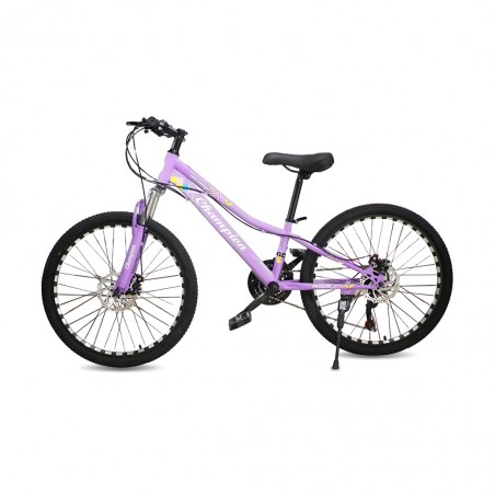 Champion YM-MB-24G 24" Ladies MTB