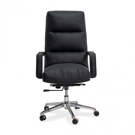 Stellar Catmint Modern High Back Executive Chair